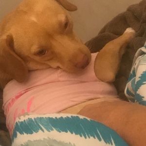 Meet your Posher, Dawn